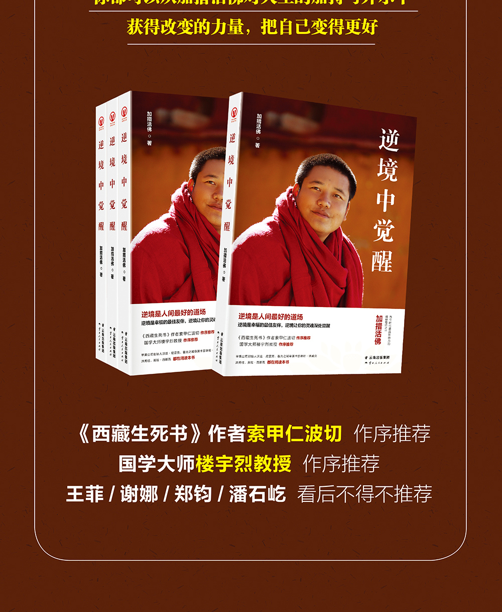[诺森文化]逆境中觉醒 加措活佛 西藏生死书作者索甲仁波切 佛学入门