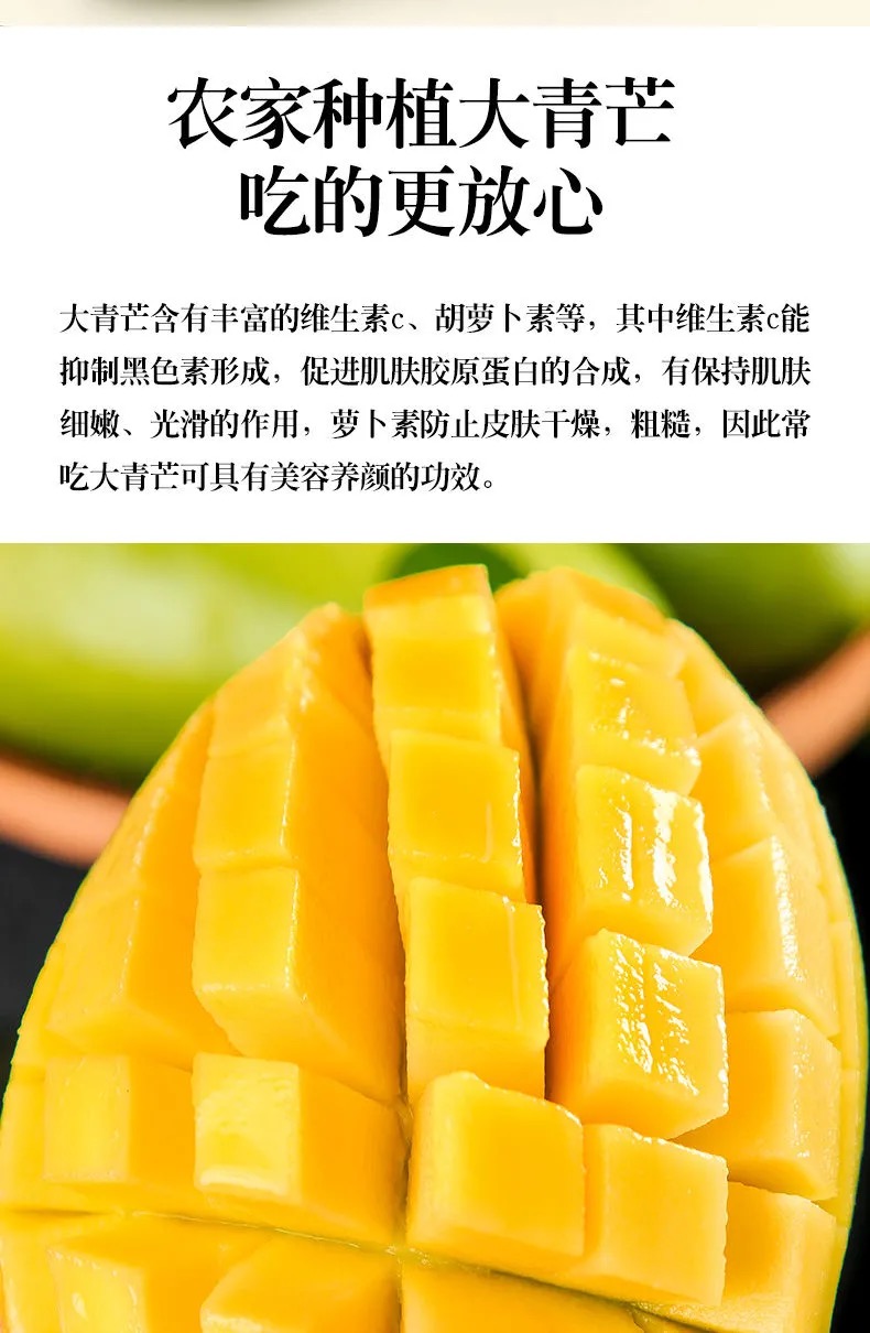 鲜贝达生鲜西双版纳大青芒芒果3斤单果500g当季新鲜水果大芒果24个