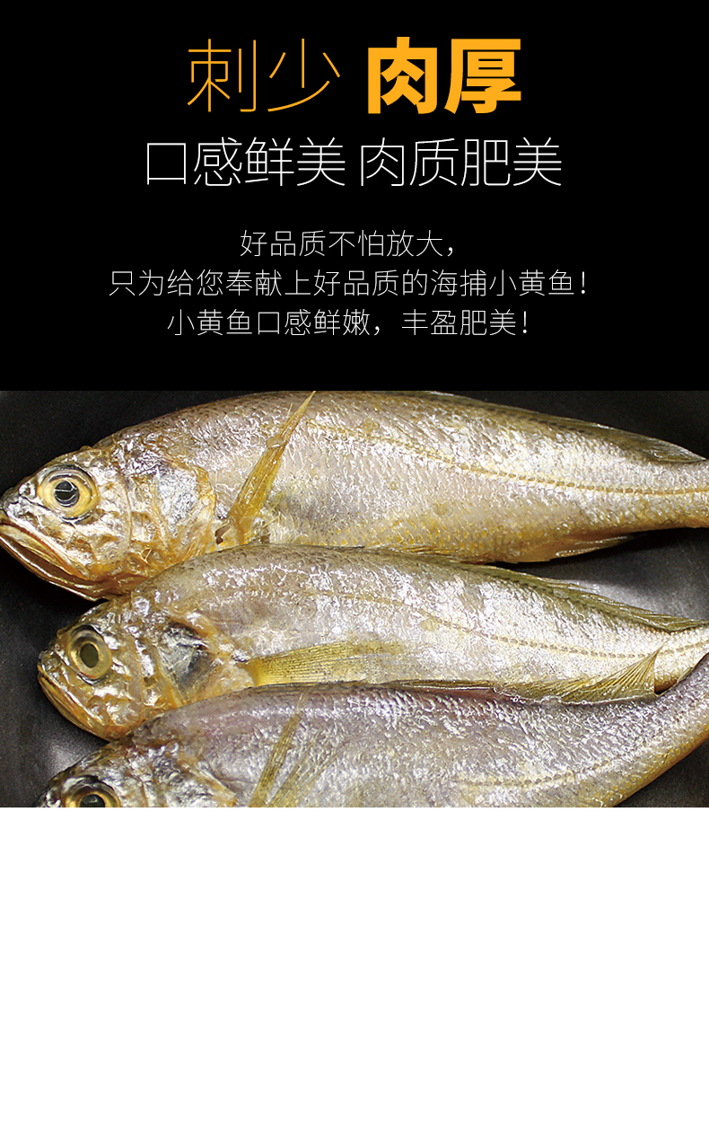 【6斤装小黄鱼】深海小黄鱼 顺丰冷链 海鲜水产鱼类黄鱼鲜活小黄鱼