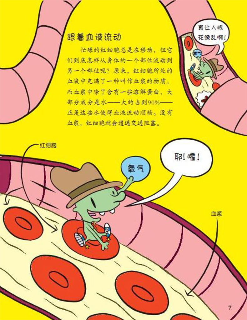 【诺森正版】葫芦弟弟 正版 血液循环之旅(绘本平装)美国青少年 馆
