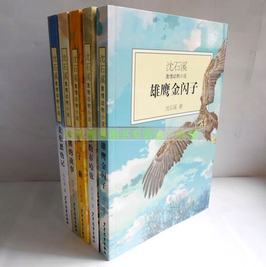 套装书沈石溪激情动物小说全集雄鹰金闪子等共5册全套沈石溪