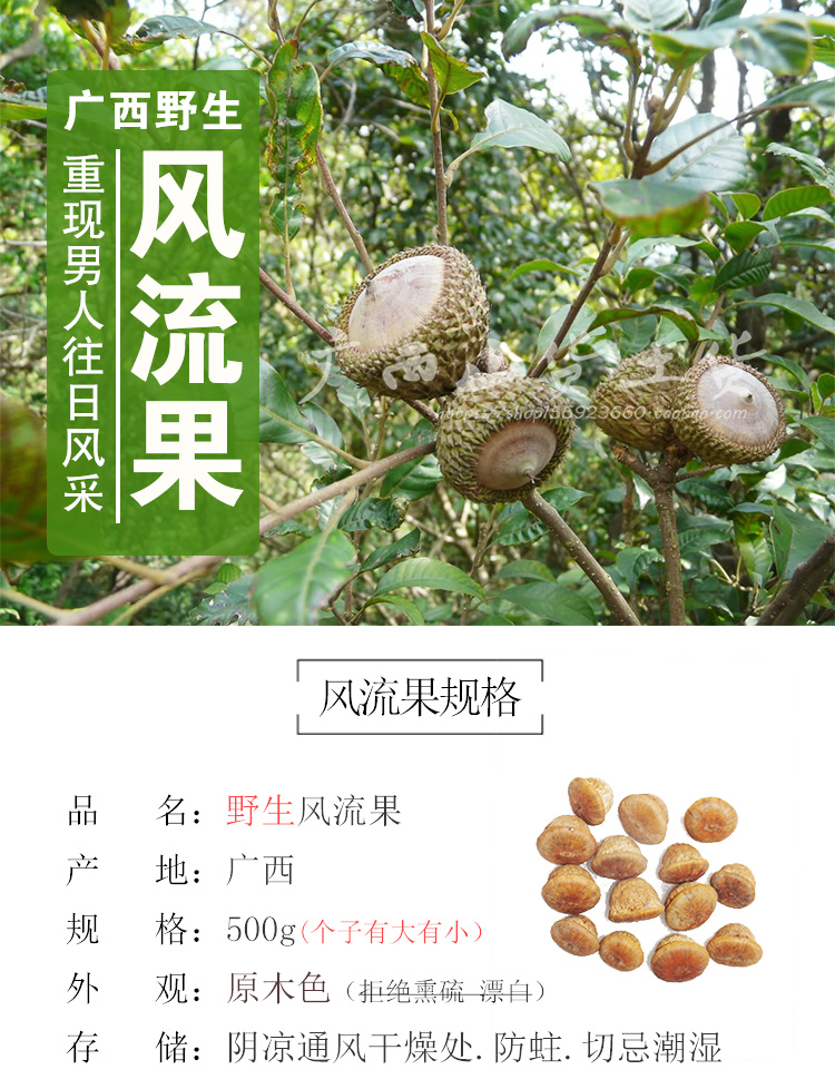 正品风流果子增大天竺粒广西藤果厚鳞柯500g泡酒益肾子
