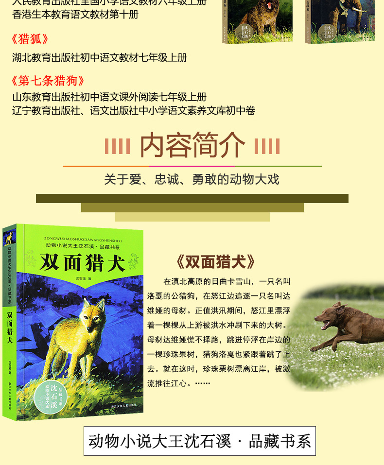 质量保证双面猎犬沈石溪动物小说单本全集正版故事书612周岁儿童读物