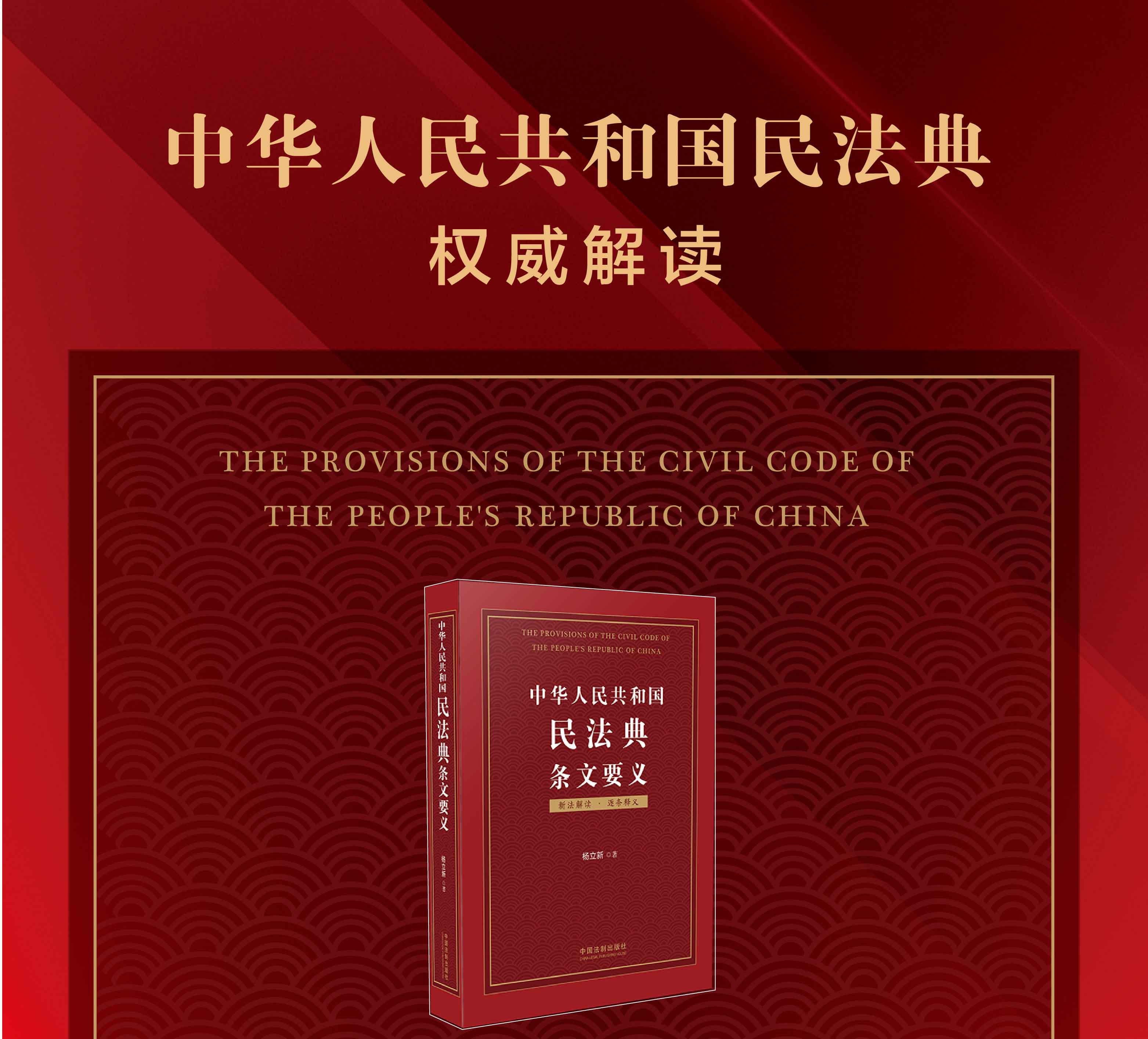 惠典正版2020年版中华人民共和国民法典条文要义杨立新中国民法典条文