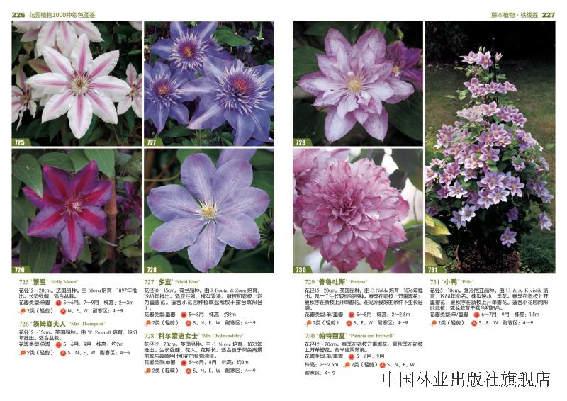 [诺森文化]花园植物1000种彩色图鉴 7222 科技
