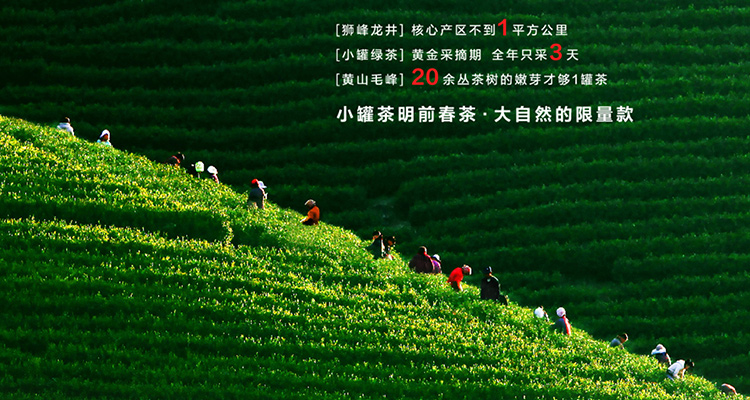 小罐茶绿茶黄山毛峰2020年春茶茶叶