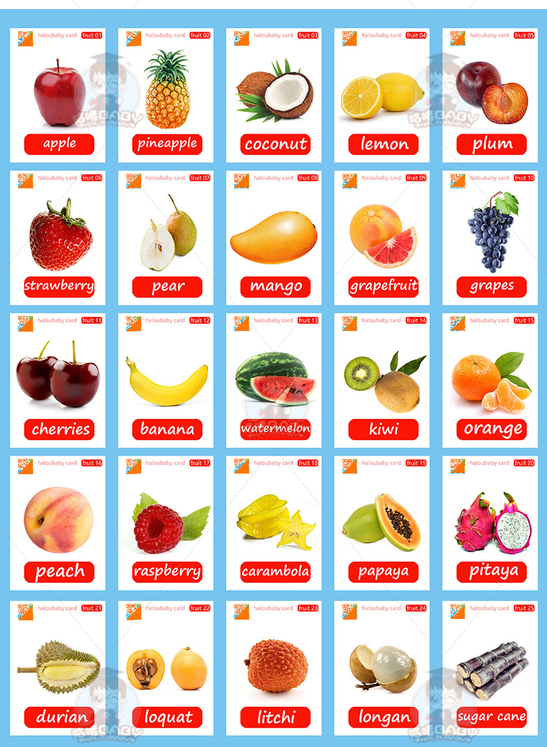 搭啵兔益智玩具5525 fruits英语水果单词卡片英文闪卡