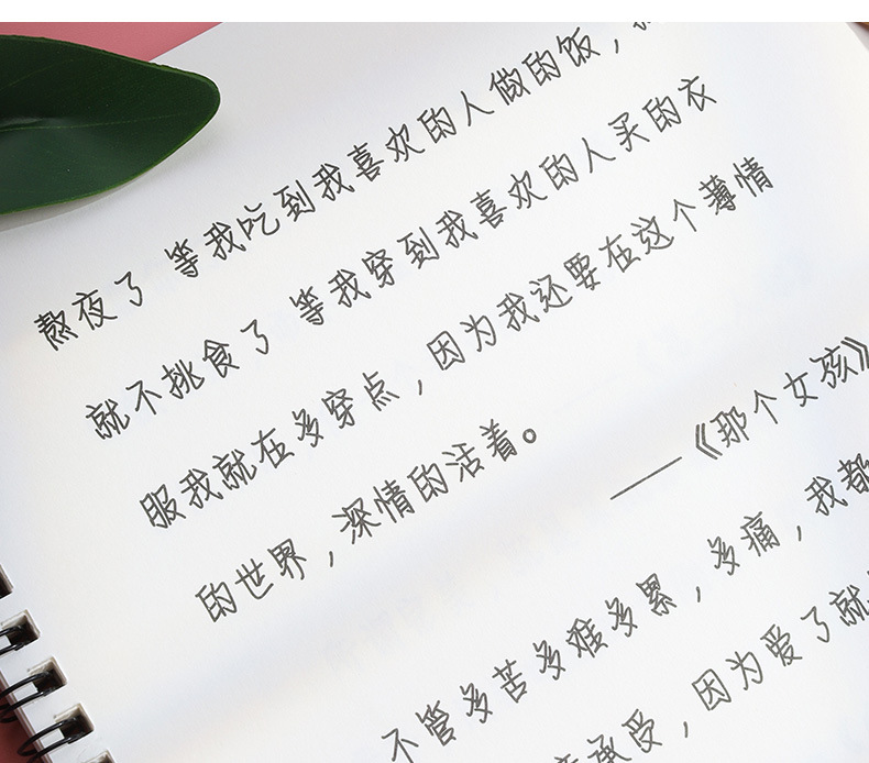 情书翩翩体字帖女生字体漂亮清新风行楷临摹神器初学者奶酪陷阱练字帖