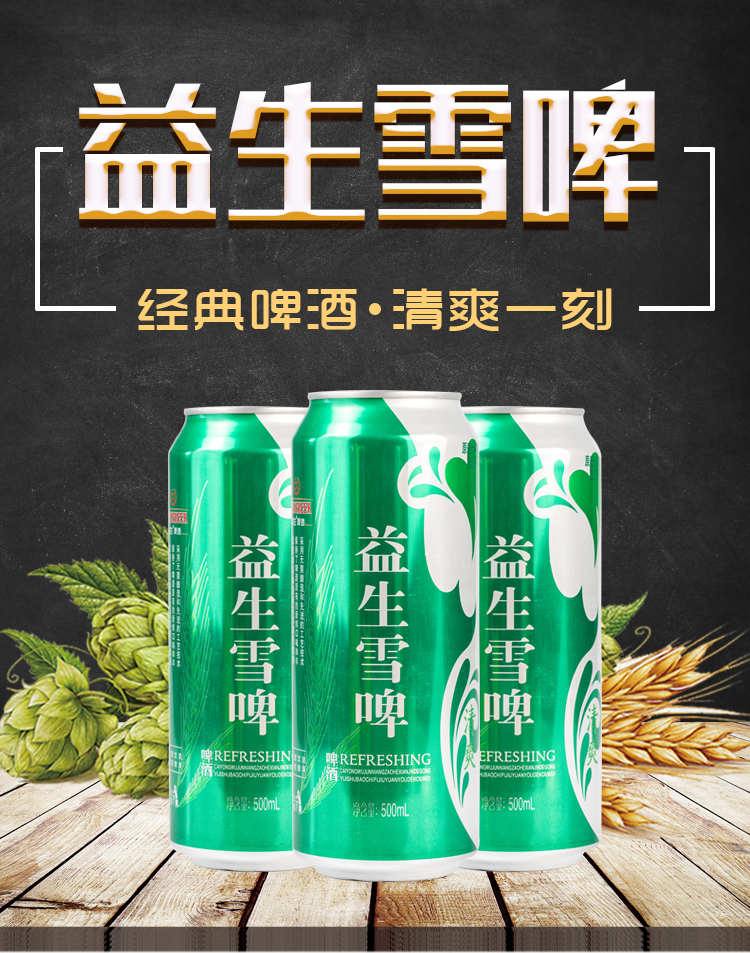 雪啤啤酒500mlx9罐整箱益生啤酒