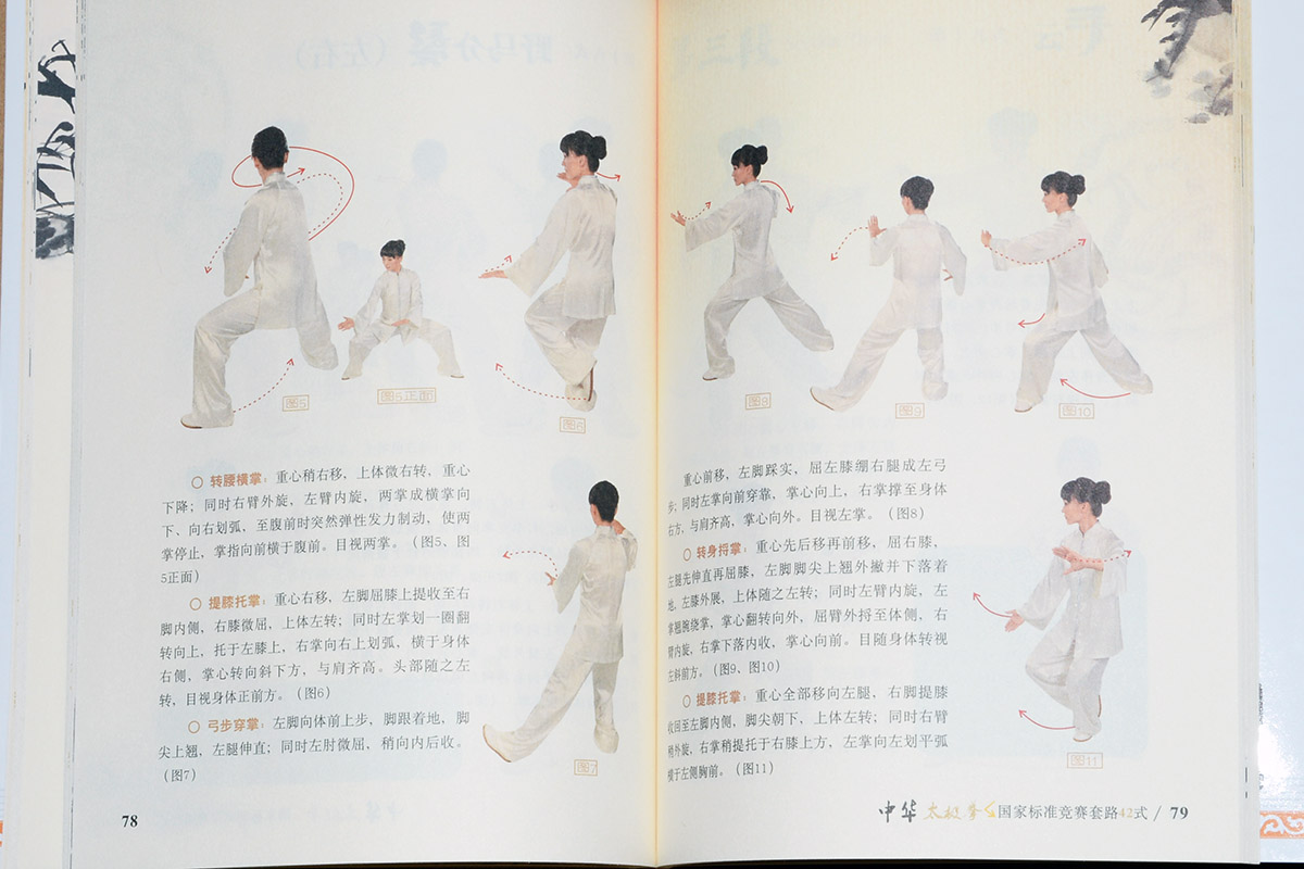 正版教材42式太极拳教学教程高清dvd视频光盘初学自学书籍童红云
