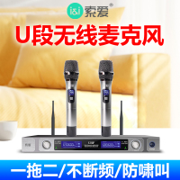 索爱(soaiy) SA-WK22 无线麦克风双话筒专业手持KTV唱歌演出舞台K歌会议通用家庭麦克风 一拖二