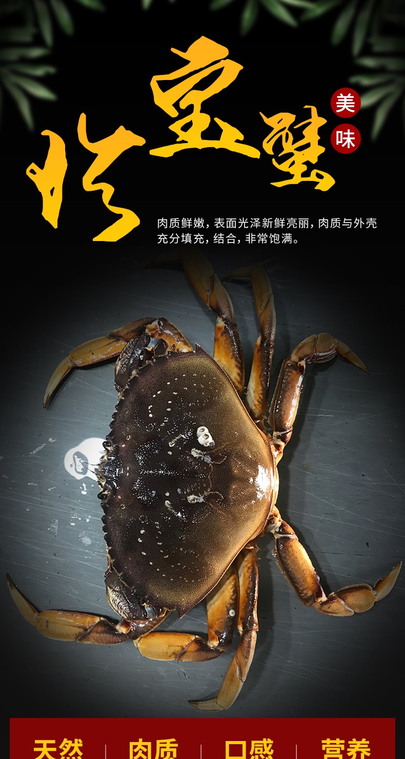 活鲜三座海鲜活加拿大珍宝蟹海鲜年货火锅食材