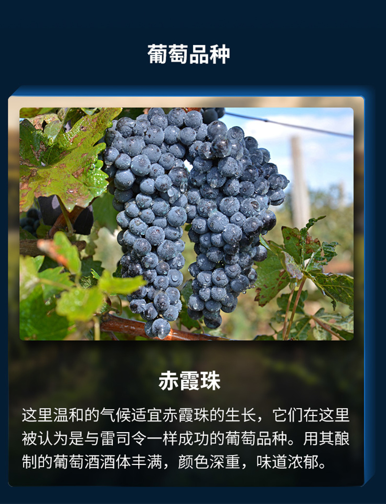 规格 包装 瓶装 酒精度 14度 单支容量 750ml 特性 葡萄品种 赤霞珠