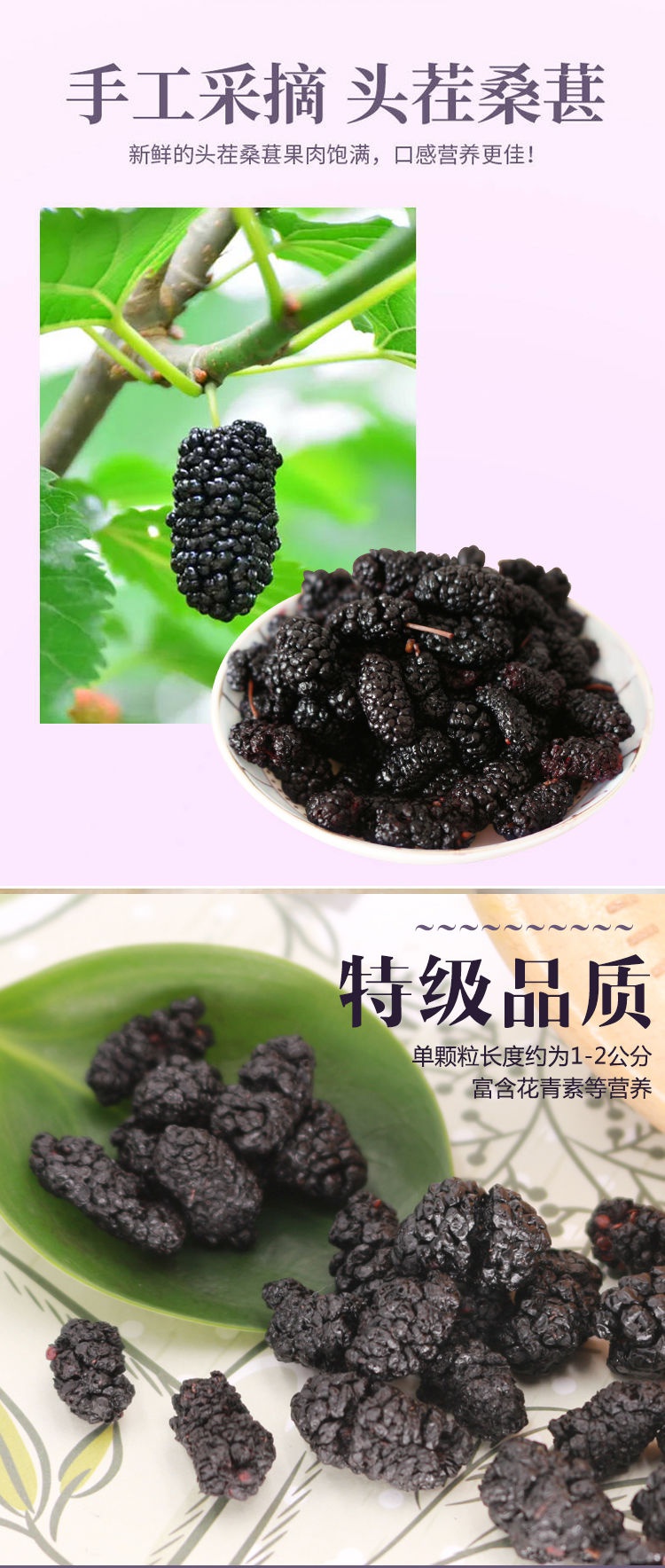 【新货桑葚】桑椹干500g*2野生黑桑葚桑椹果桑葚干