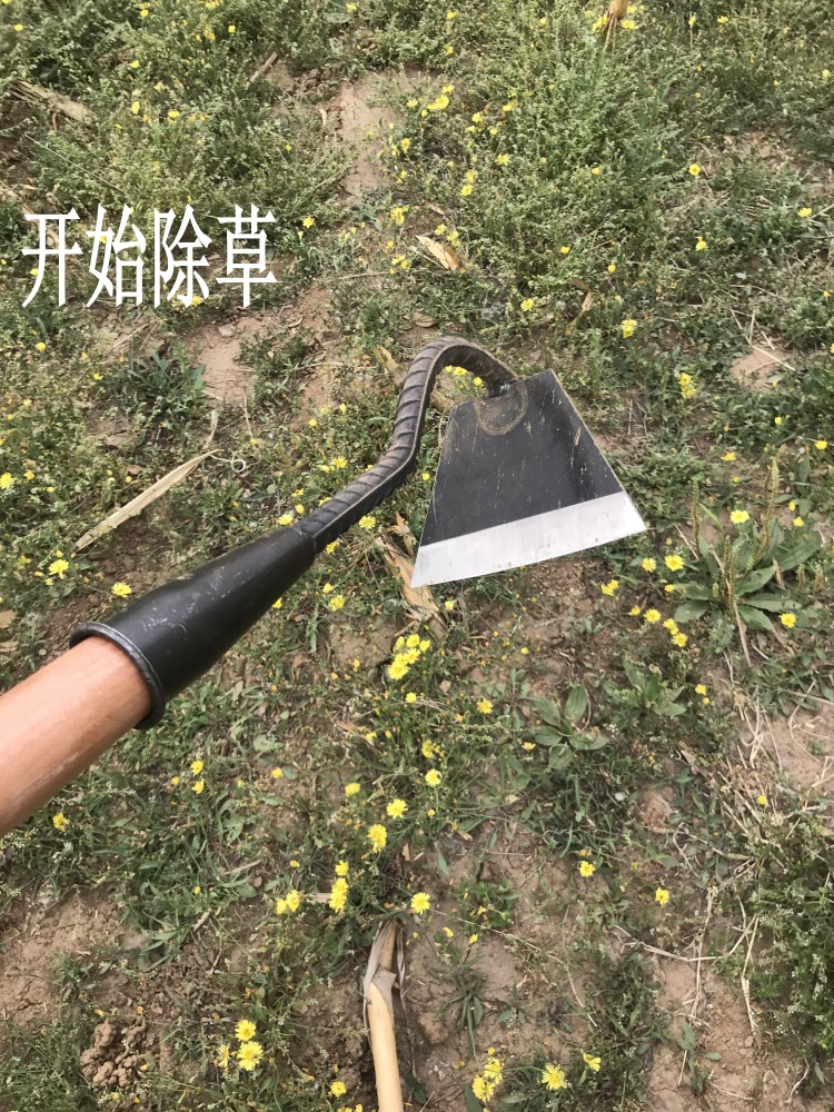 敬平锄地除草锄头铲草开荒松土农具园林园艺除草工具锰钢锄头花园除草