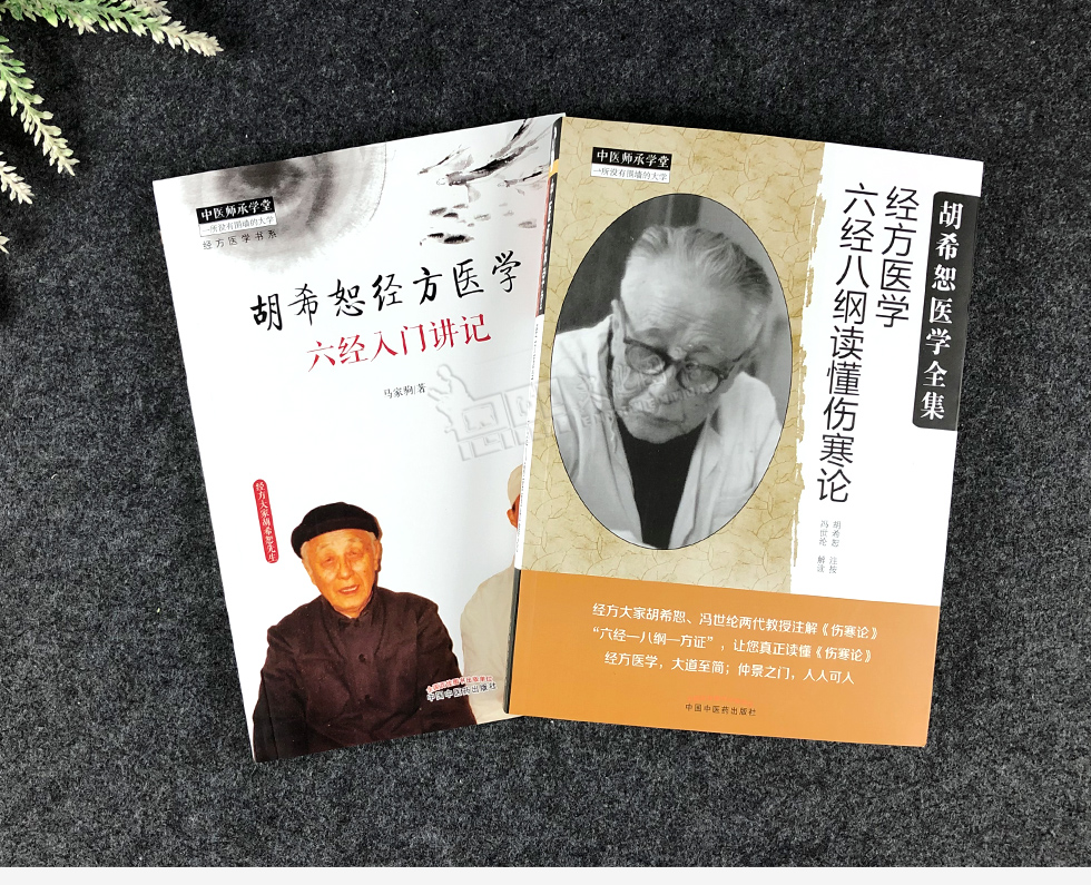 胡希恕经方医学2本六经八纲读懂伤寒论六经入门讲记经方医学书系中医