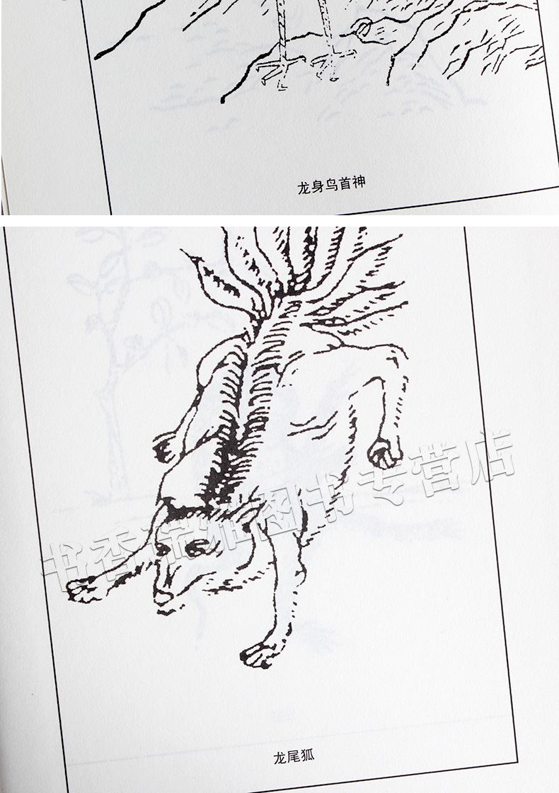 山海经全译全集无删减中华国学藏书书局原著注释译文疑难字注音白话版