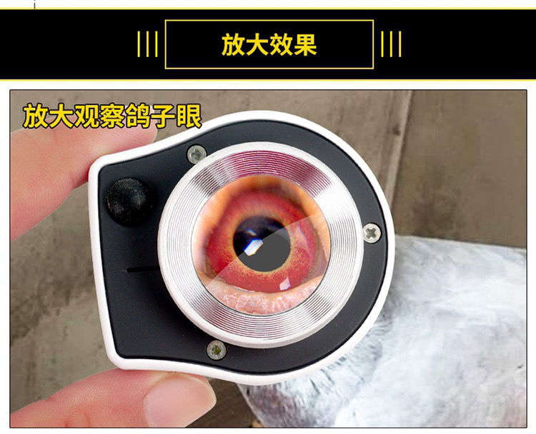看鸽子眼专用放大镜120倍看钻石的高清看钻石的鸽眼带灯金属黑色放大