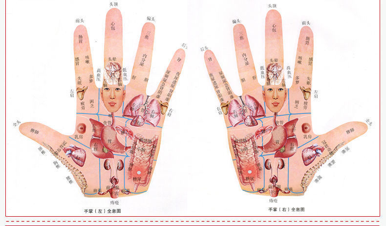观手知健康全息手诊图解全书舌诊入门到精通蔡洪光中医望诊观舌知健康