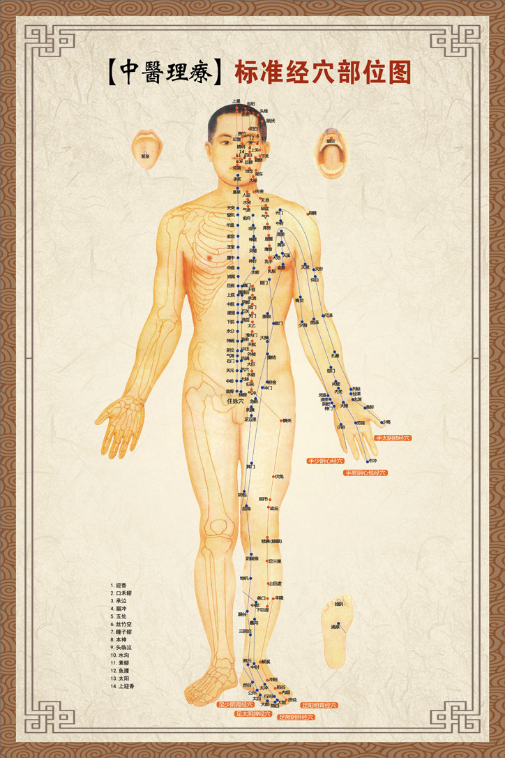 针灸艾灸人体经络穴位图大挂图足部全身中医身体养生保健 人体经络