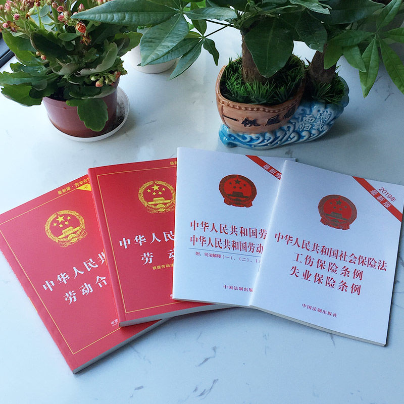 2020新版劳动法 劳动合同法法 实用版含司法解释单行本全套4本