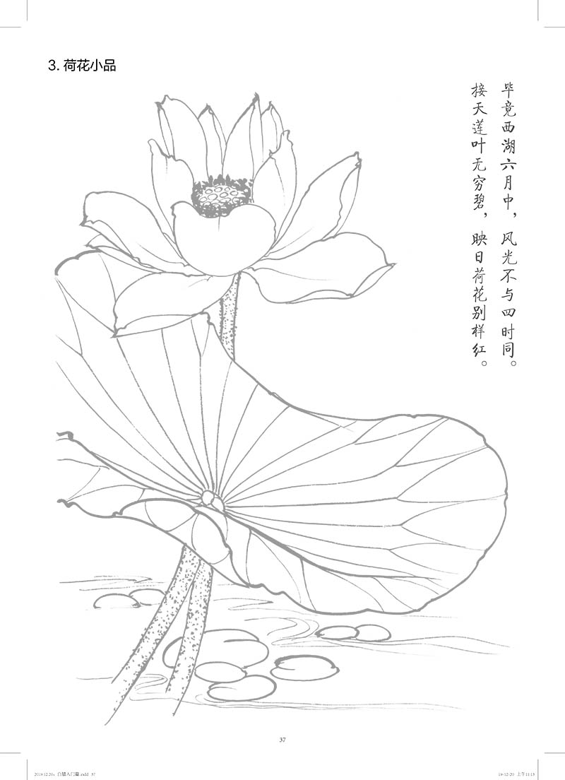 【诺森正版】中国画白描入门篇 花卉篇 勾线笔三件套 白描画谱底稿