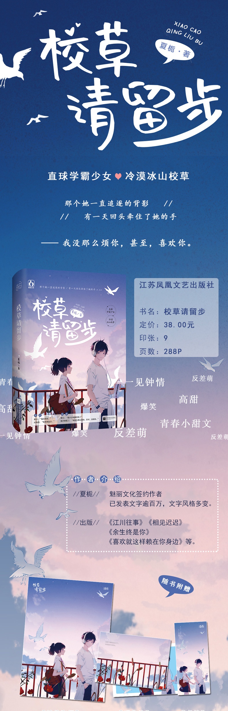 鹏辰正版[赠书签 告白卡]校草请留步 夏栀作品 花火青春校园言情小说