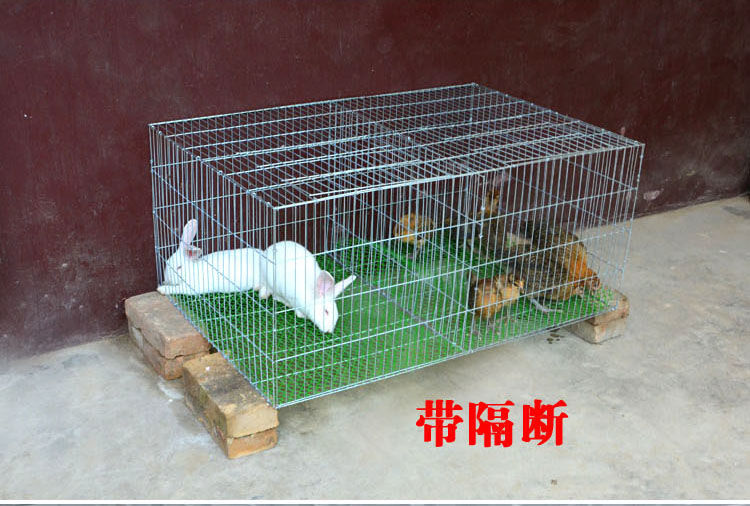 加密加粗小鸡笼子雏鸡笼家用特大号养殖笼养鸡笼子山鸡笼鸡窝鸡舍35型