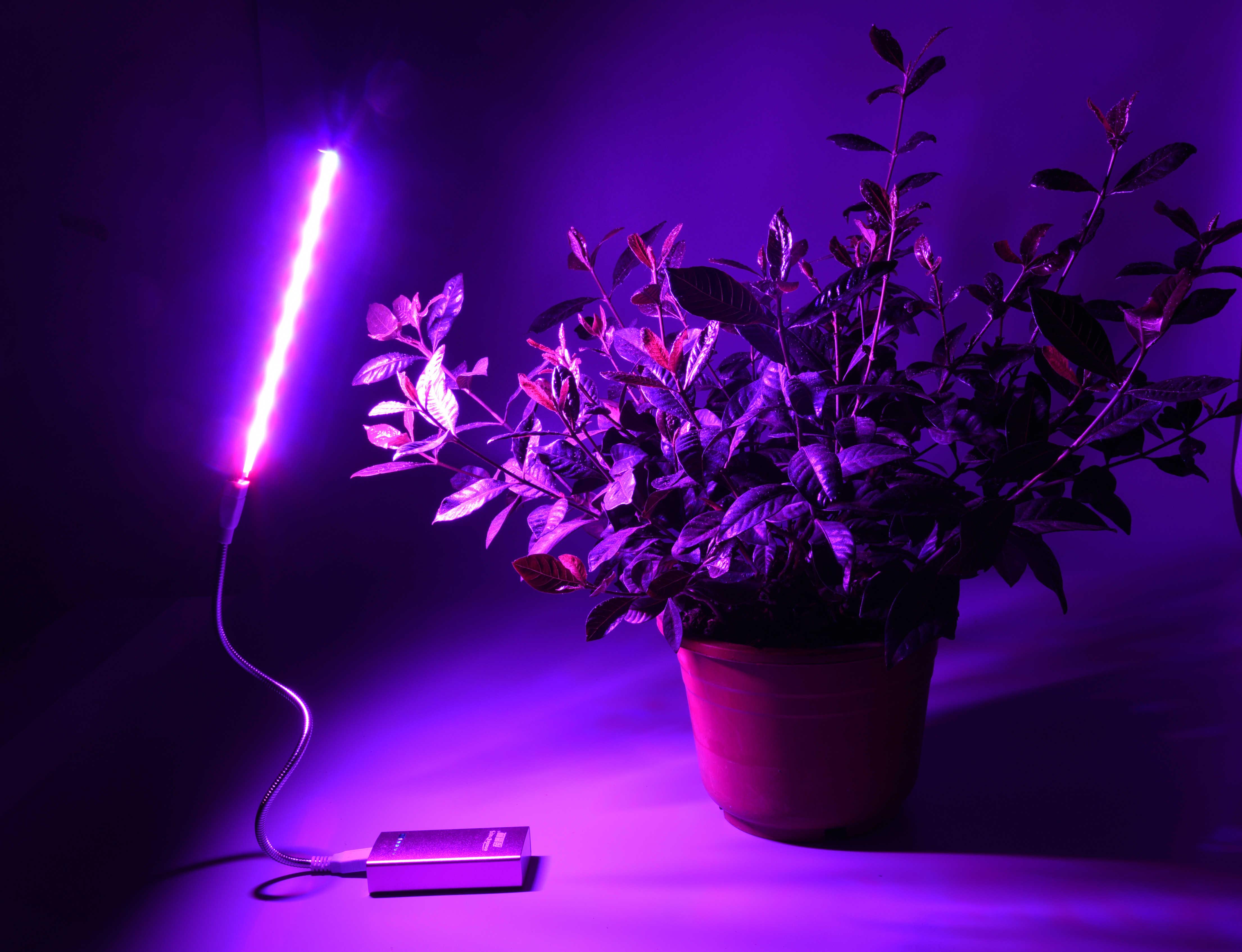 usb led多肉红蓝灯 室内仿太阳光补光灯 全光谱 花卉 植物生长灯