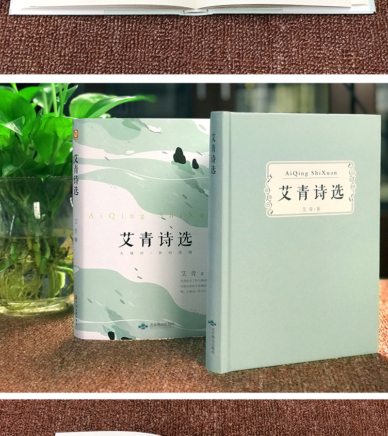 超级新品 艾青诗选 水浒传原著正版九年级9上必读名著初三上册课外