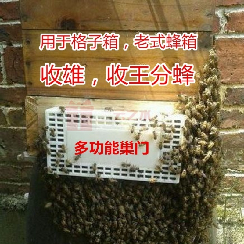 定制蜂具多功能巢蜜蜂自动分蜂器中蜂分蜂器收蜂器收王分蜂笼防跑器