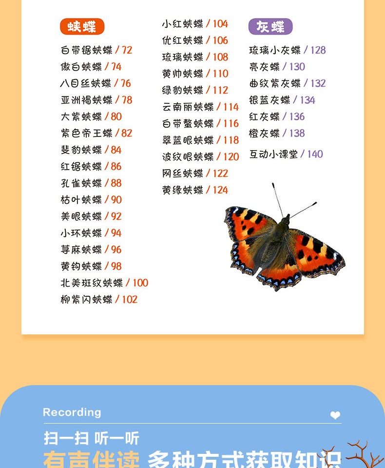 【正版新书】1分钟儿童小百科:蝴蝶小百科 彩图拼音注音版少儿百科
