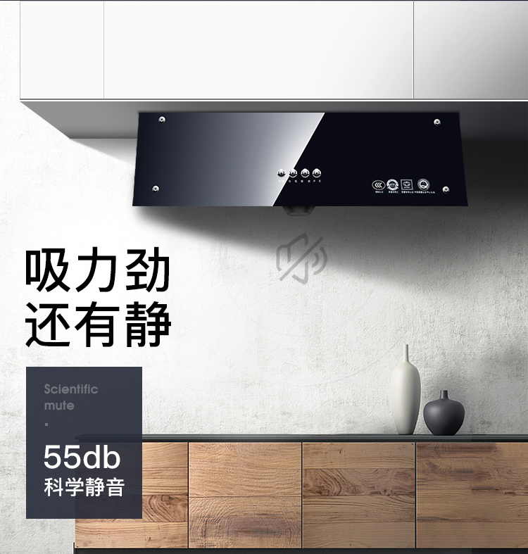 欢呼好太太 13立方顶吸式老式抽油烟机单机 b1按键式 720mm小尺寸脱排