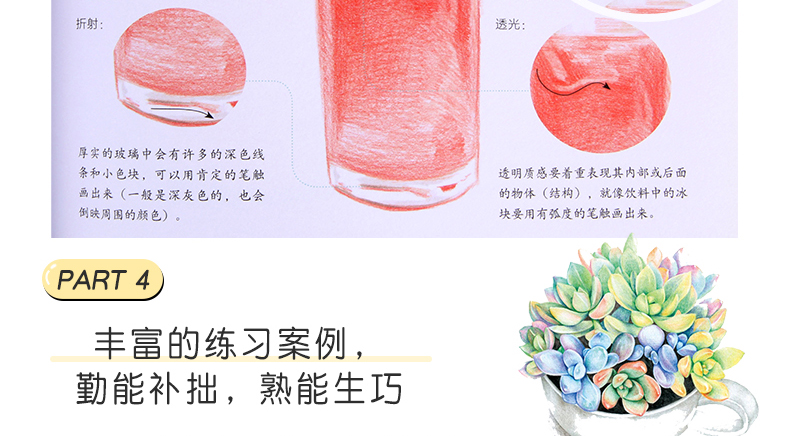 超级新品 正版 彩色铅笔基础入门 飞乐鸟 彩铅画入门教程书 人物动物