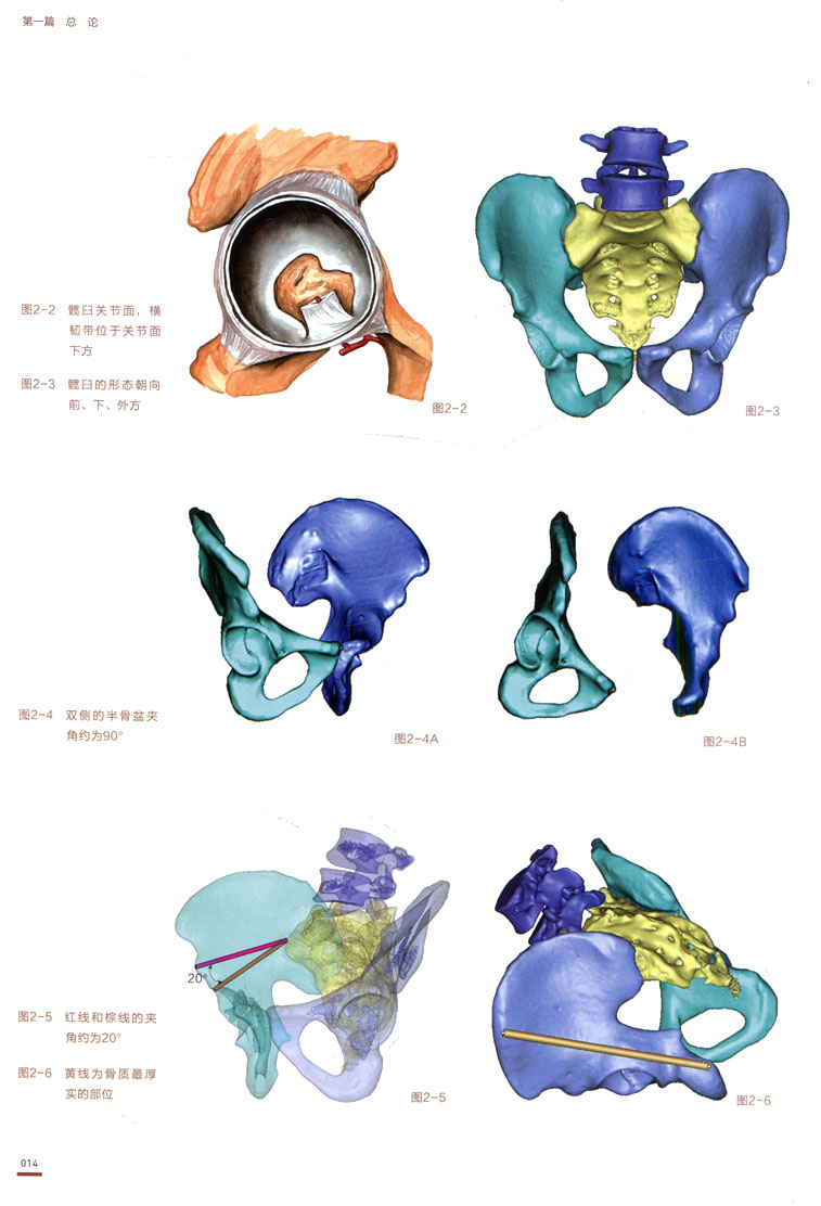 积水潭创伤骨科手术技巧丛书髋臼骨折王满宜吴新宝著北京科学技术出版