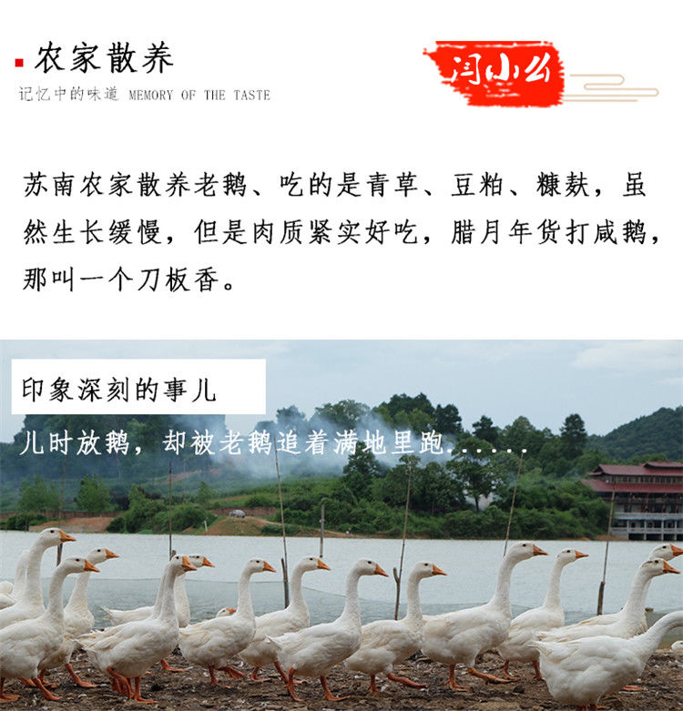 个人店其他品牌腌制腊味 4斤重 新鲜腌制农家大老鹅咸鹅风干鹅腊老鹅