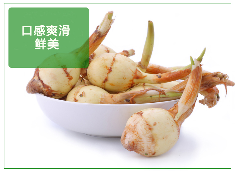 云南新鲜白茨菇 2.5kg 生鲜蔬菜慈姑芽菇茨菰马蹄 1份