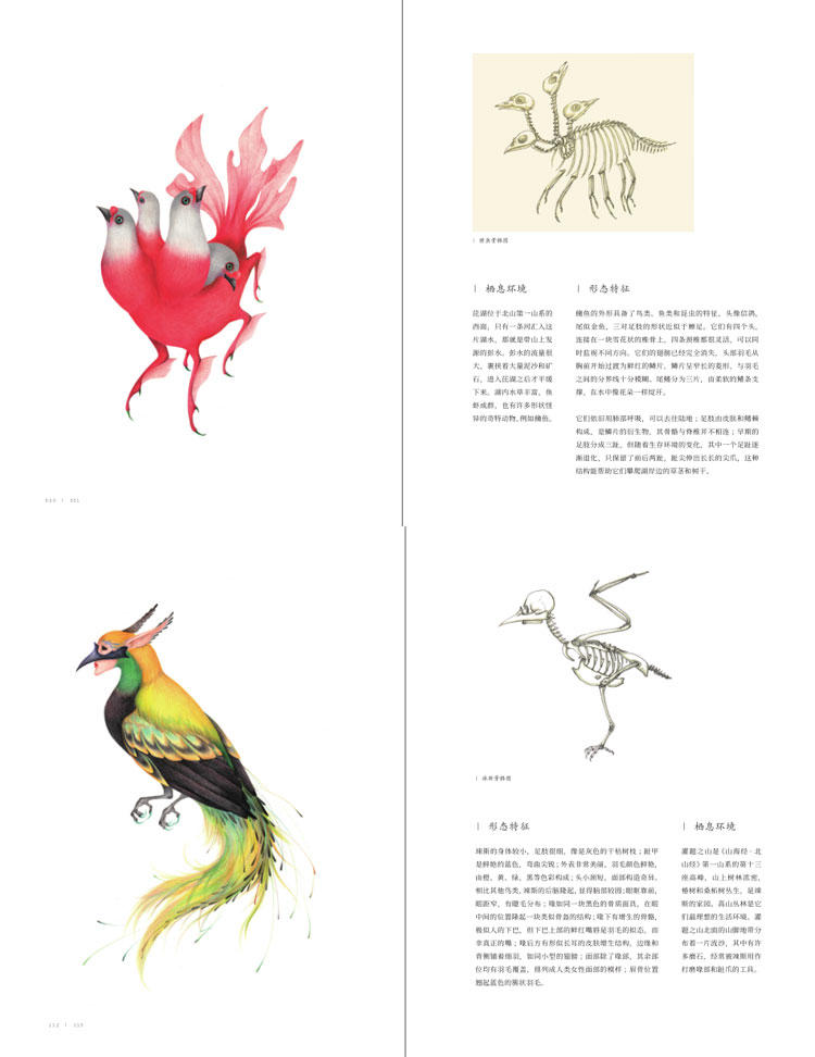 [诺森正版]全3册 奇兽:山海经动物图鉴 中国妖怪工具书 三生三世十里