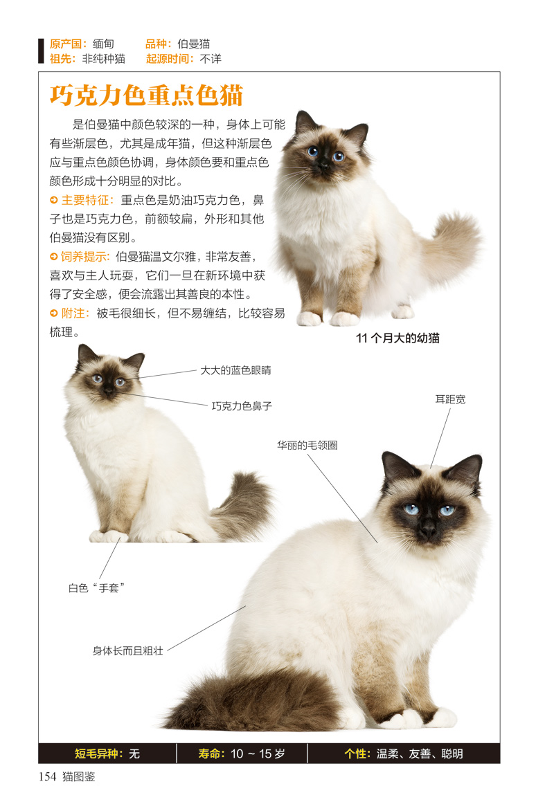 养猫手册猫图鉴179只纯种猫的特征习性养猫书籍猫咪书籍关于猫的书