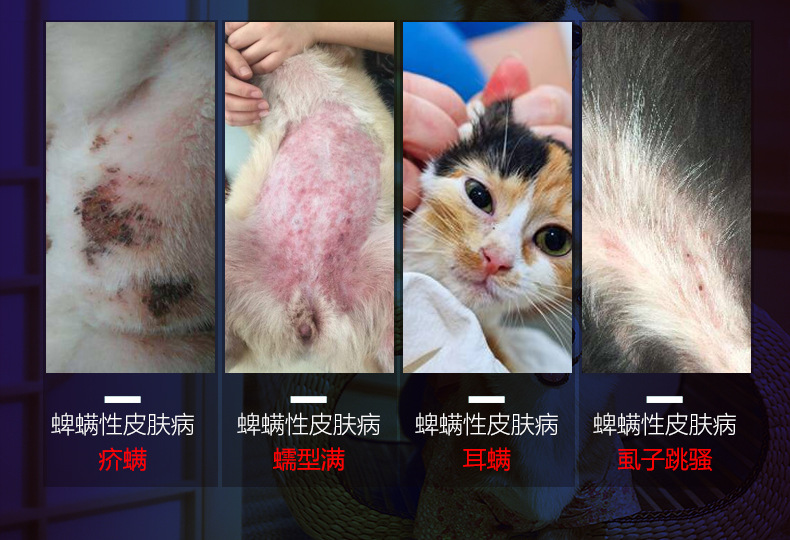 狗狗喷剂去螨虫药宠物猫咪皮肤病喷雾猫寄生虫体外驱虫跳蚤药100ml