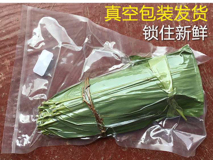 新鲜粽叶竹叶包粽子的大粽子叶大叶真空包装棕叶子50片批发