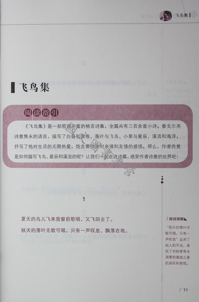 飞鸟集语文新课标推荐推荐初中生课外书读物飞鸟集带中考考题正版