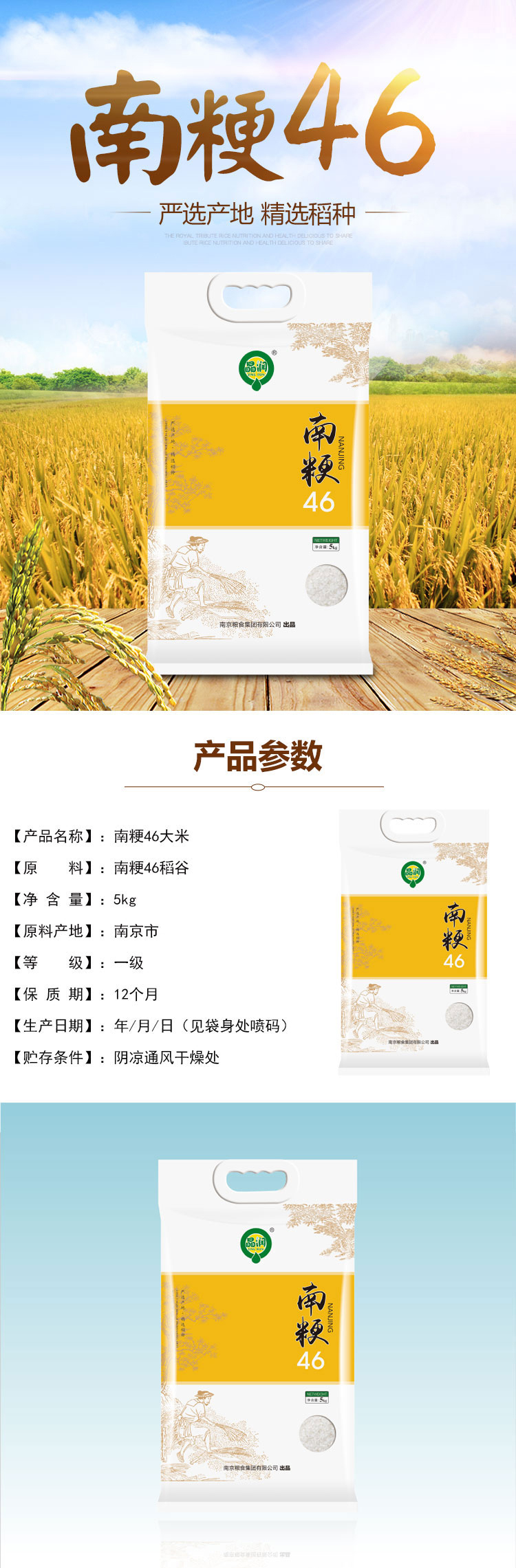 晶润 南粳46大米 5公斤 水稻种植基地播种 传统农耕 颗粒饱满 5kg