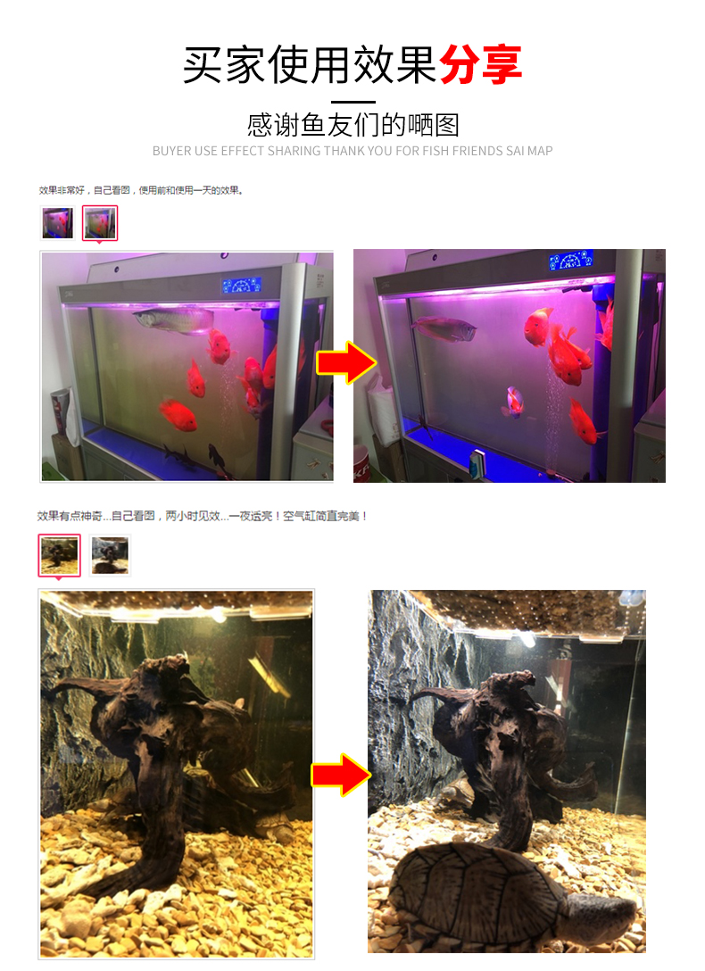 鱼缸去水鱼缸净水污力丸过滤丸水族箱蛋白棉活性炭过滤棉去污灵