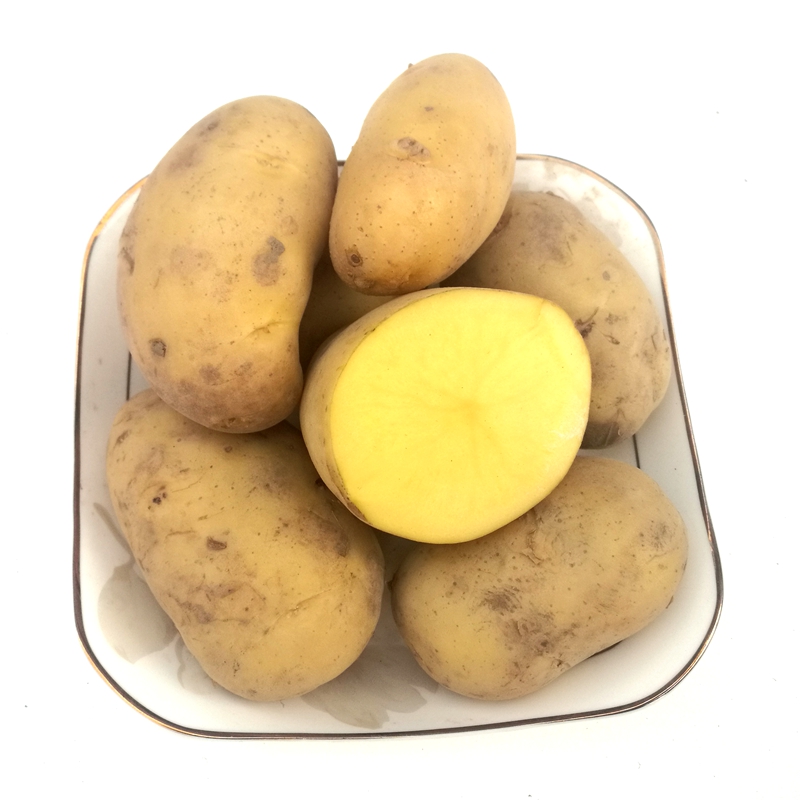 【有检疫证】黄心土豆 5斤装 马铃薯 新鲜蔬菜 土豆泥片 s燕 生鲜可开