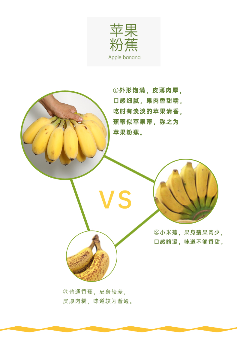 靓果汇福建漳州苹果蕉香蕉5斤带箱产地直发新鲜水果