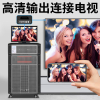 夏新(AMOI)视频音响OK-35 豪华版 500G