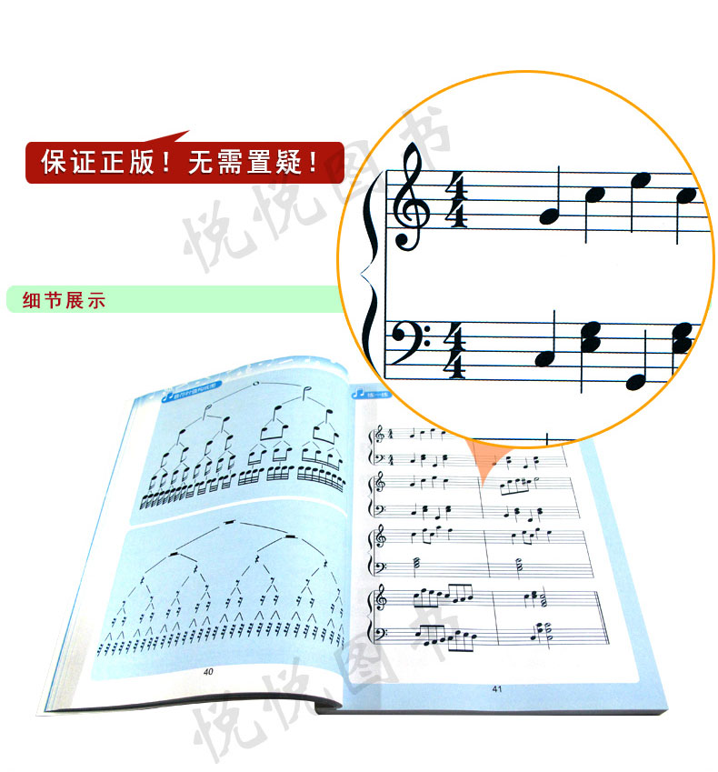 《五线谱入门基础教程 乐理知识基础教材 从零开始学习五线谱和 乐理
