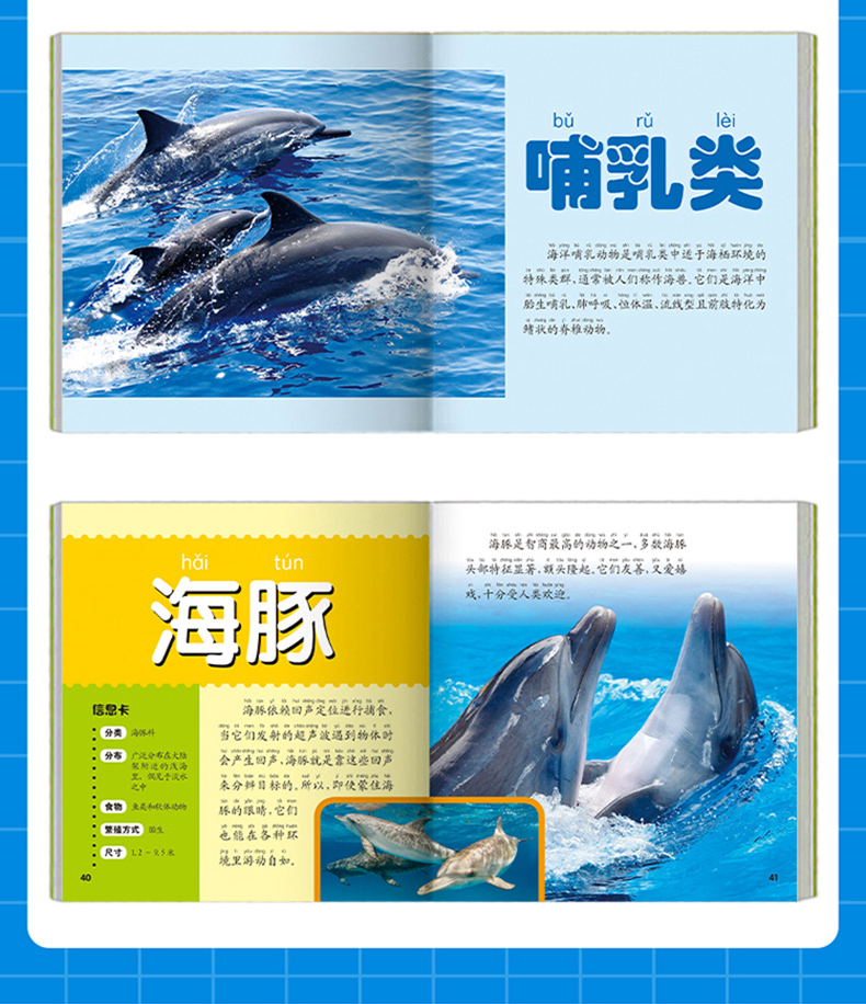 海洋动物大百科彩图注音版儿童动物世界科普图画书612岁宝宝科学探索