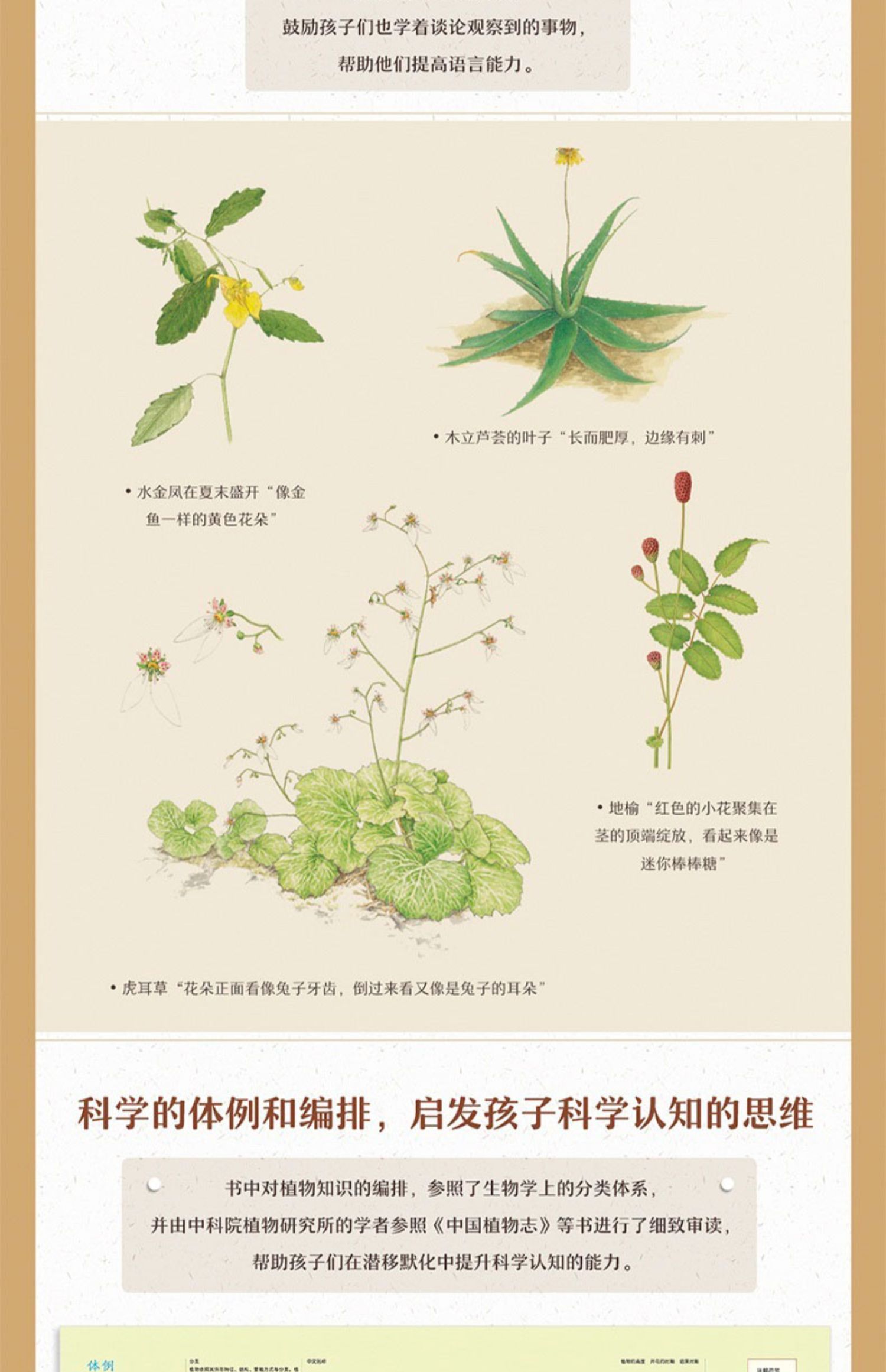 【诺森正版【7-10岁】给孩子的自然图鉴 植物图鉴 沈兆媛 著 我家